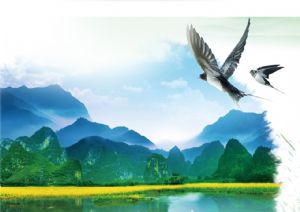 聚焦高考——綠水青山，我們押中了！